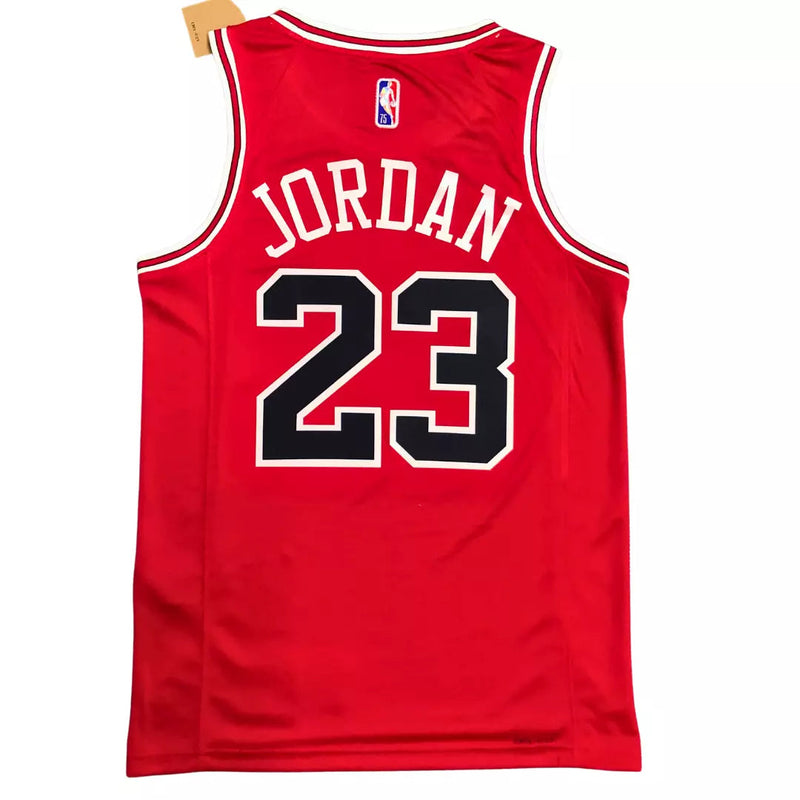 Camiseta NBA masculina de los Chicago Bulls 75º Aniversario - Edición Icon 2022/23.